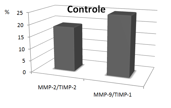 Figura 12 - Complexos MMP-2/TIMP-2 e MMP-9/TIMP-1 e complexos