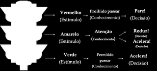 O que é a Percepção de Riscos É o ato de tomar contato com um perigo por meio dos sentidos