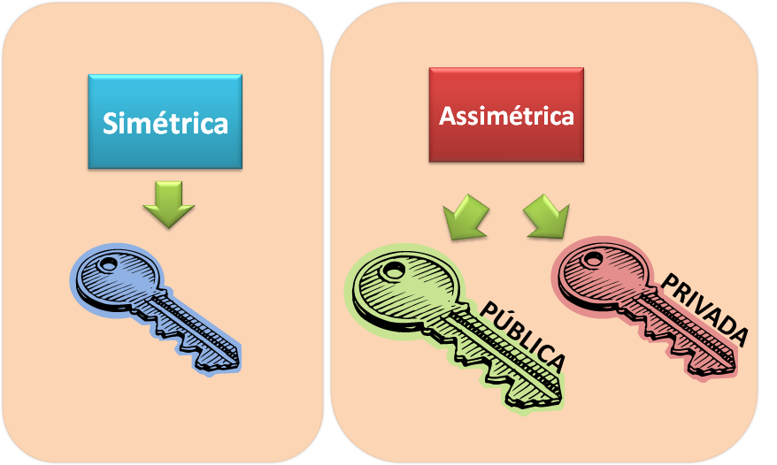 Tecnicas