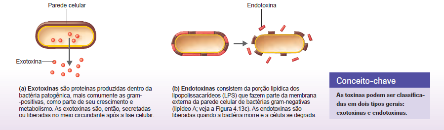 transportadoras do hospedeiro. Toxinas Exotoxina - Destrói determinadas partes das células do hospedeiro ou inibe certas funções metabólicas.