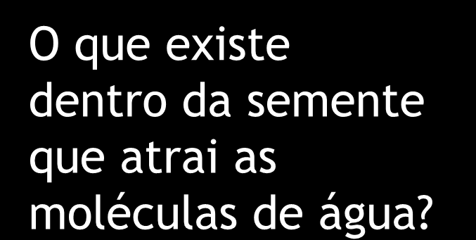 GERMINAÇÃO e EMBEBIÇÃO Nas plantas vivas, a embebição é