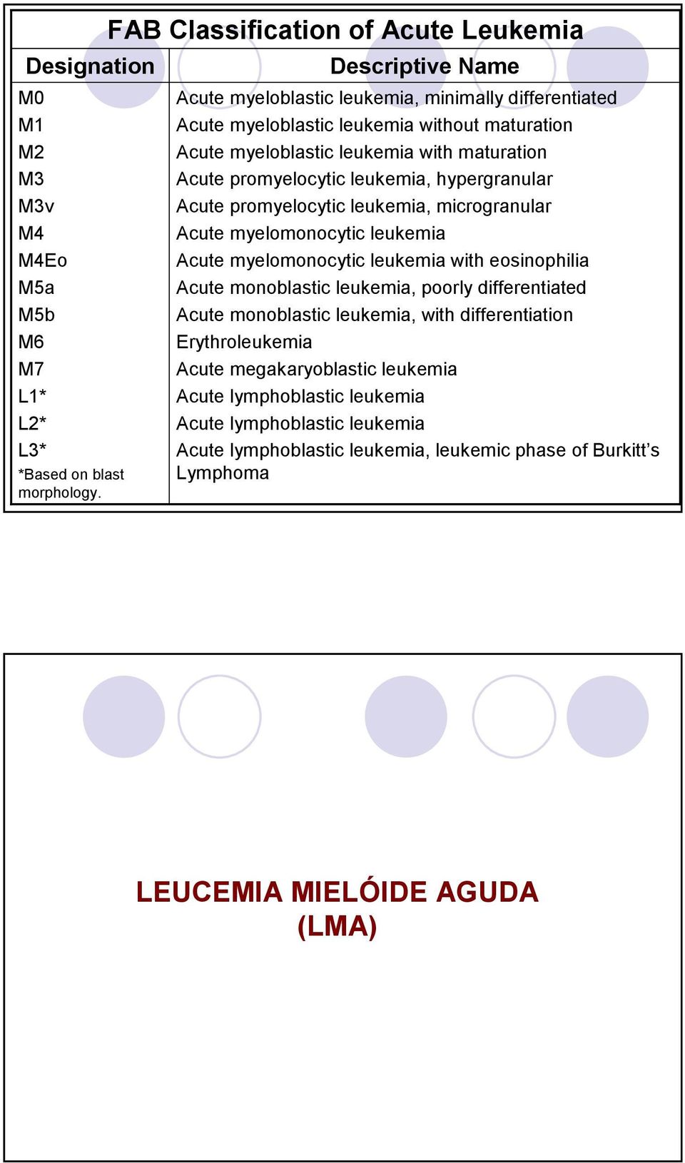maturation Acute promyelocytic leukemia, hypergranular Acute promyelocytic leukemia, microgranular Acute myelomonocytic leukemia Acute myelomonocytic leukemia with eosinophilia Acute