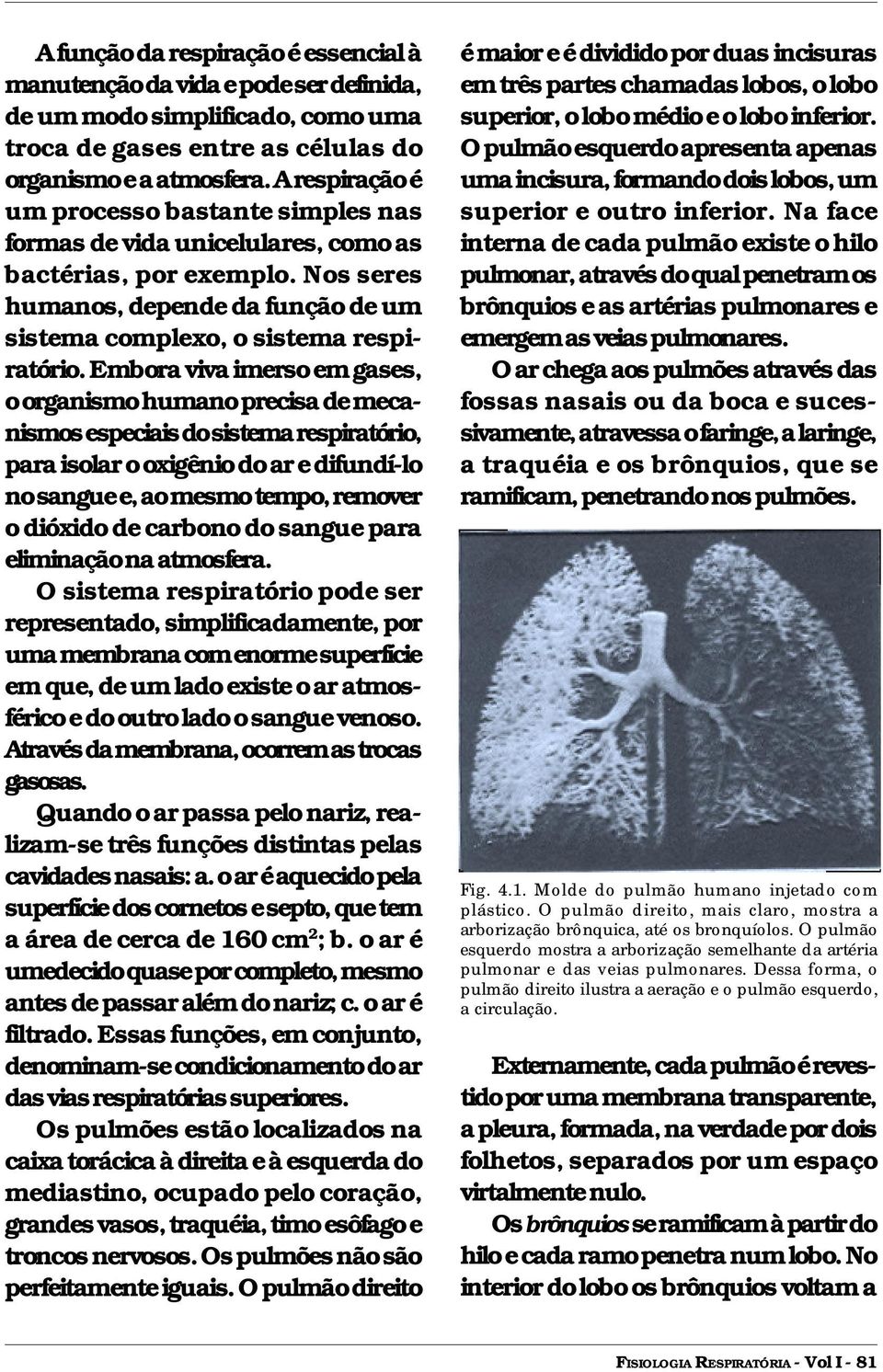 Embora viva imerso em gases, o organismo humano precisa de mecanismos especiais do sistema respiratório, para isolar o oxigênio do ar e difundí-lo no sangue e, ao mesmo tempo, remover o dióxido de