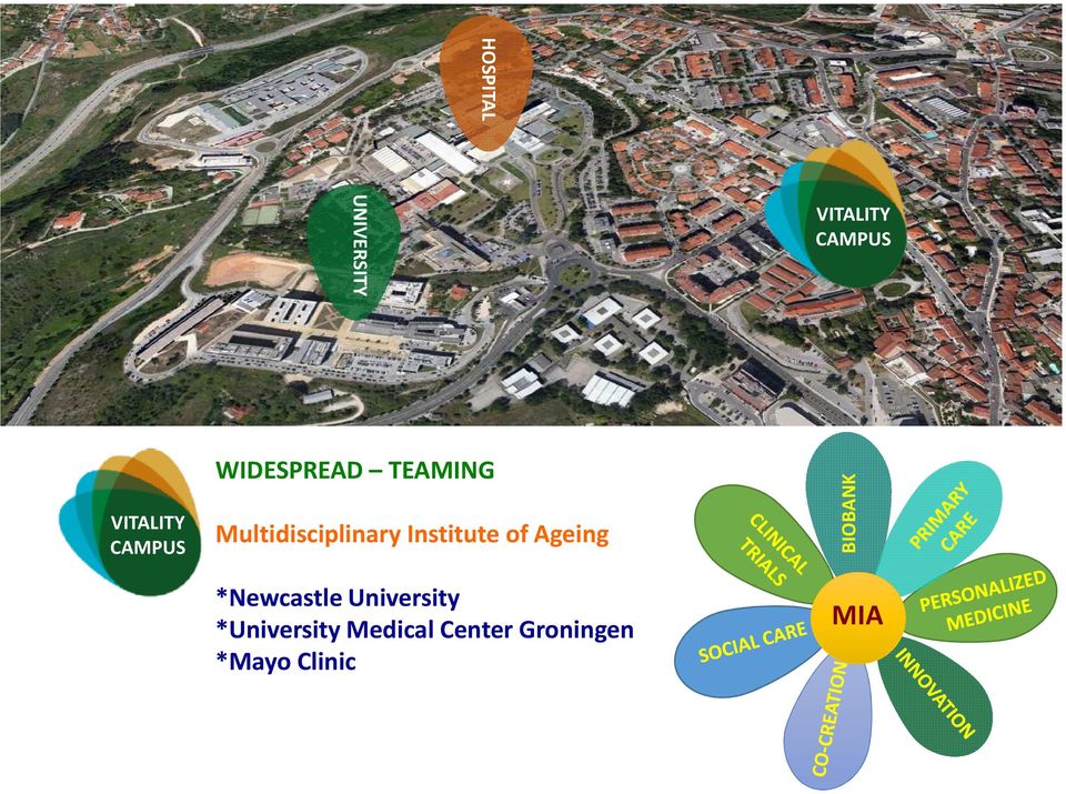 Institute of Ageing BIOBANK *Newcastle