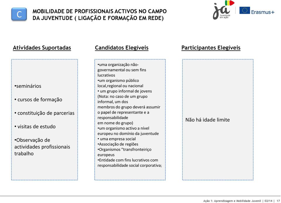 informal de jovens (Nota: no caso de um grupo informal, um dos membros do grupo deverá assumir o papel de representante e a responsabilidade em nome do grupo) um organismo activo a nível europeu no