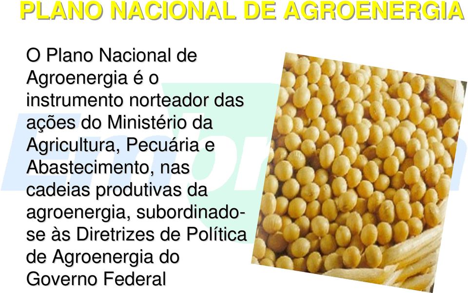 Pecuária e Abastecimento, nas cadeias produtivas da agroenergia,