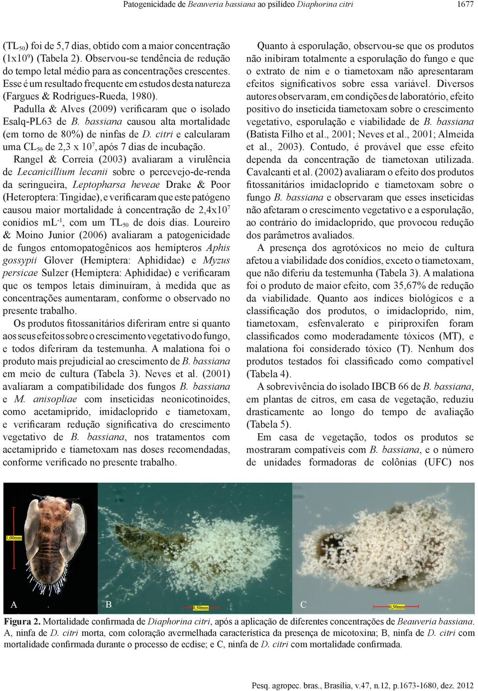 Padulla & Alves (2009) verificaram que o isolado Esalq PL63 de B. bassiana causou alta mortalidade (em torno de 80%) de ninfas de D. citri e calcularam uma CL50 de 2,3 x 107, após 7 dias de incubação.