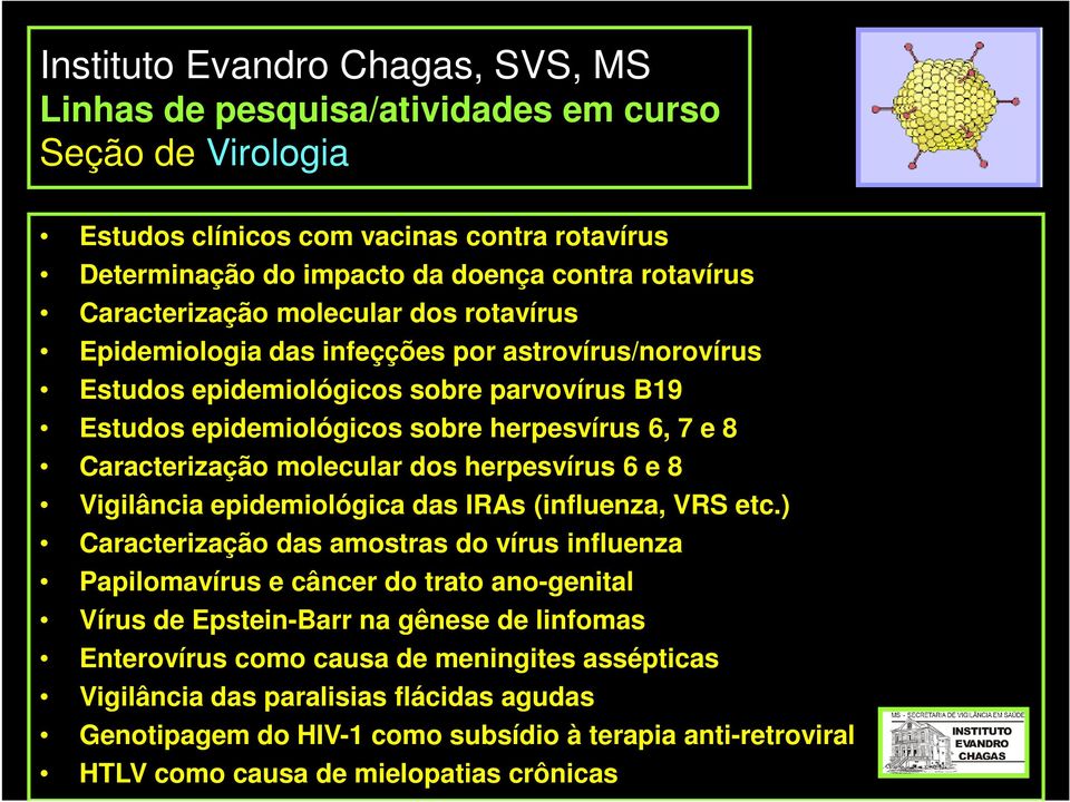 herpesvírus 6 e 8 Vigilância epidemiológica das IRAs (influenza, VRS etc.