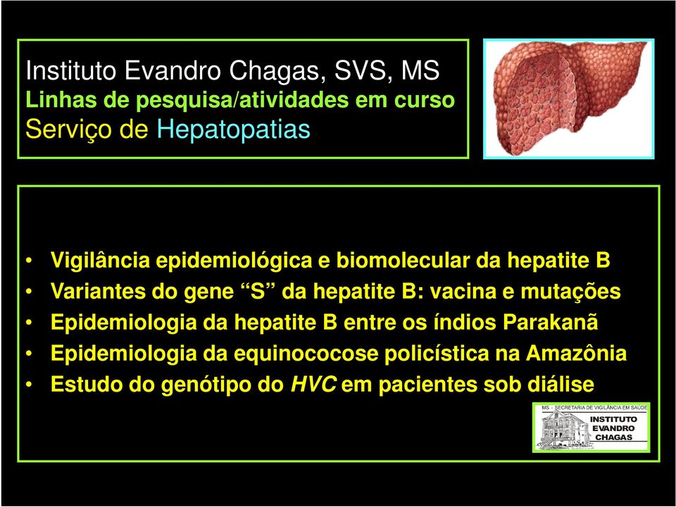 vacina e mutações Epidemiologia da hepatite B entre os índios Parakanã