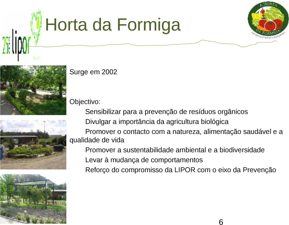 natureza, alimentação saudável e a qualidade de vida Promover a sustentabilidade ambiental e