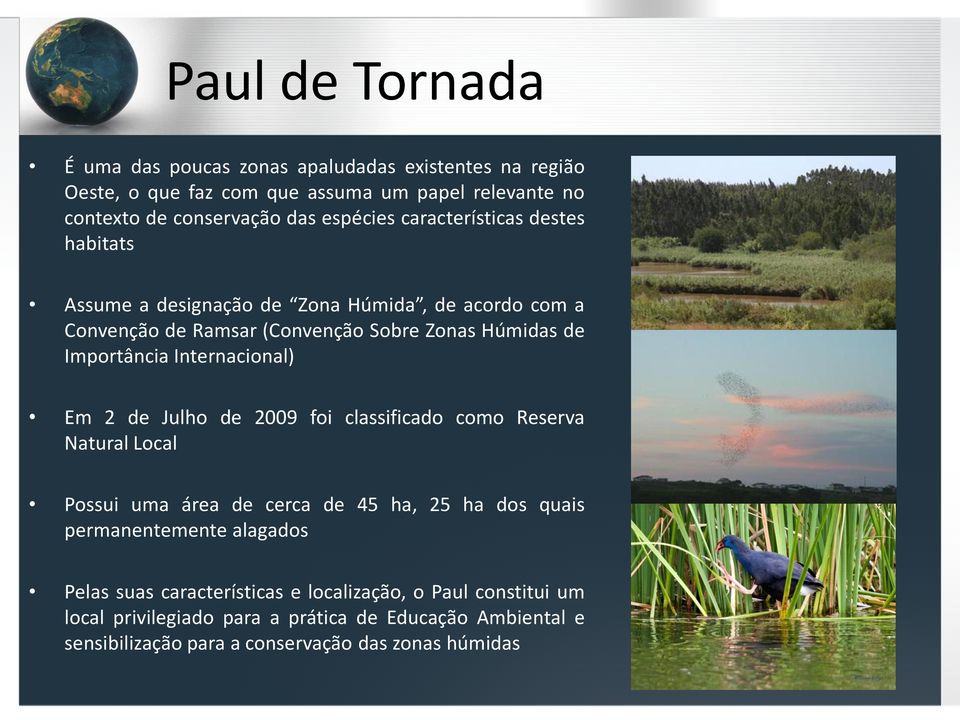 Internacional) Em 2 de Julho de 2009 foi classificado como Reserva Natural Local Possui uma área de cerca de 45 ha, 25 ha dos quais permanentemente alagados