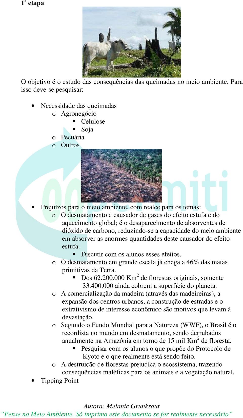 do efeito estufa e do aquecimento global; é o desaparecimento de absorventes de dióxido de carbono, reduzindo-se a capacidade do meio ambiente em absorver as enormes quantidades deste causador do