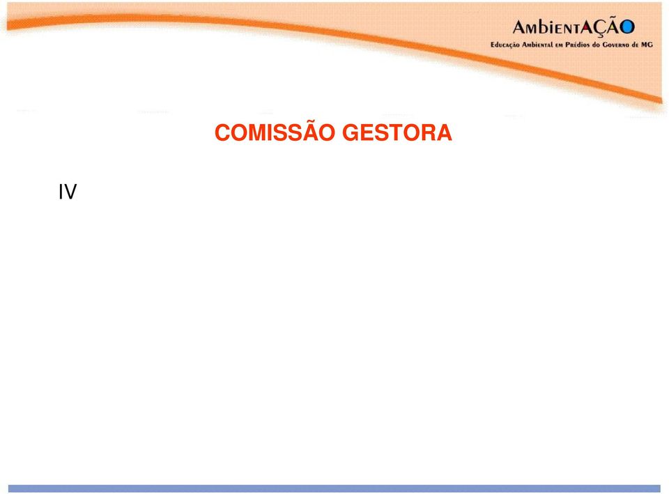 instituições do Governo de Minas Gerais, após a assinatura do Termo de Adesão; VI apoiar as
