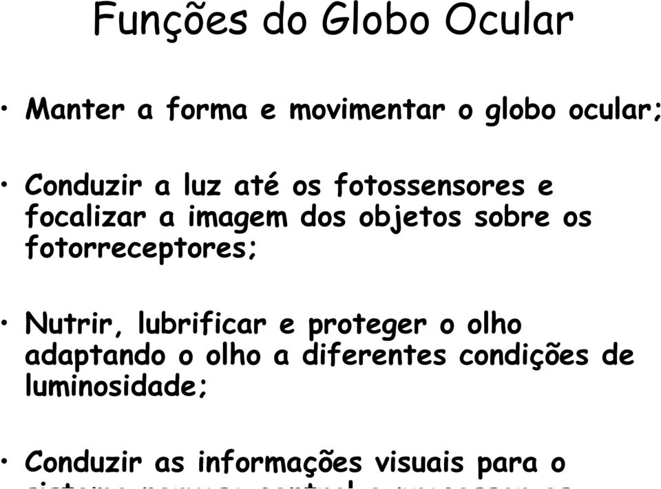 Nutrir, lubrificar e proteger o olho adaptando o olho a diferentes condições de