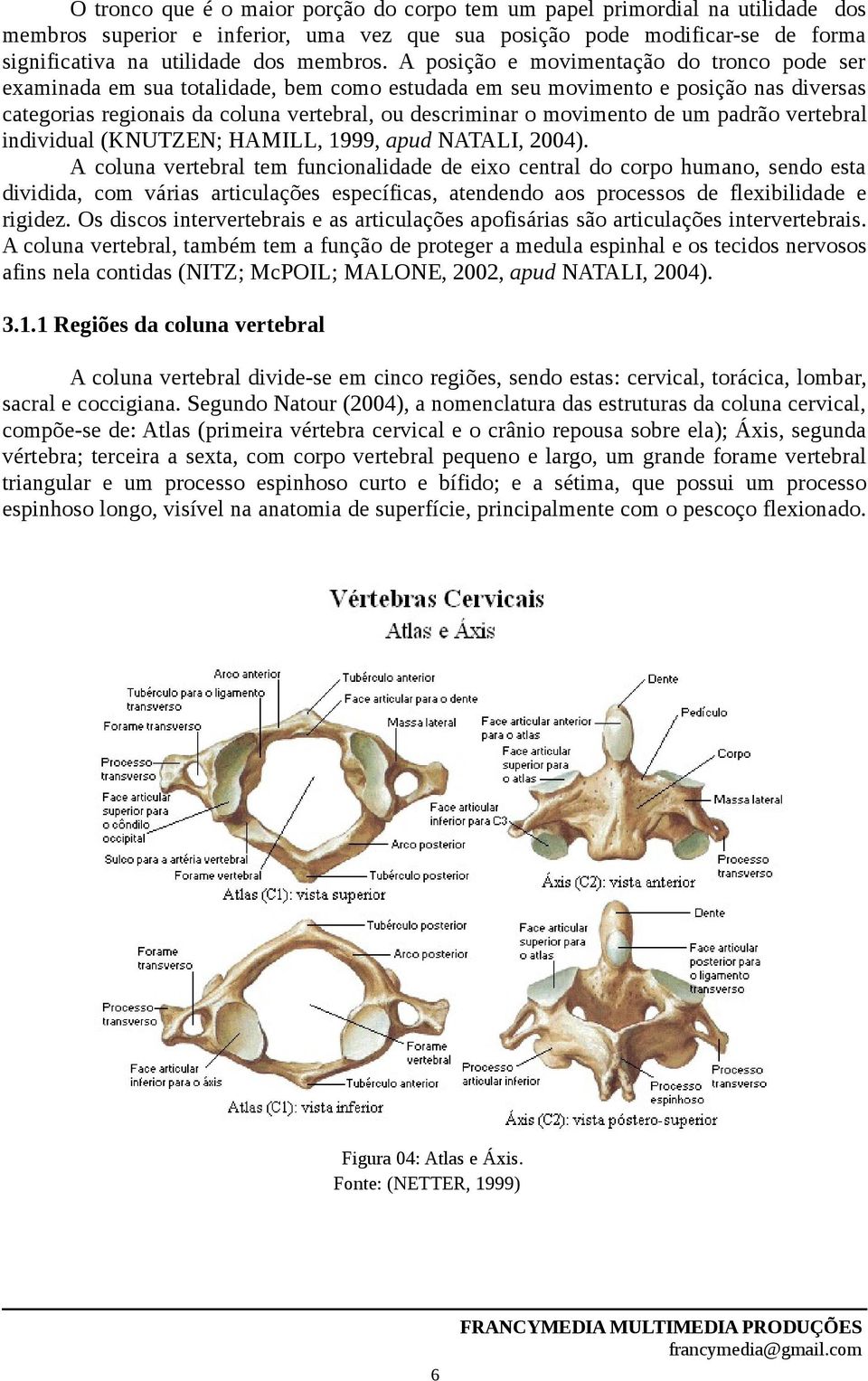 de um padrão vertebral individual (KNUTZEN; HAMILL, 1999, apud NATALI, 2004).