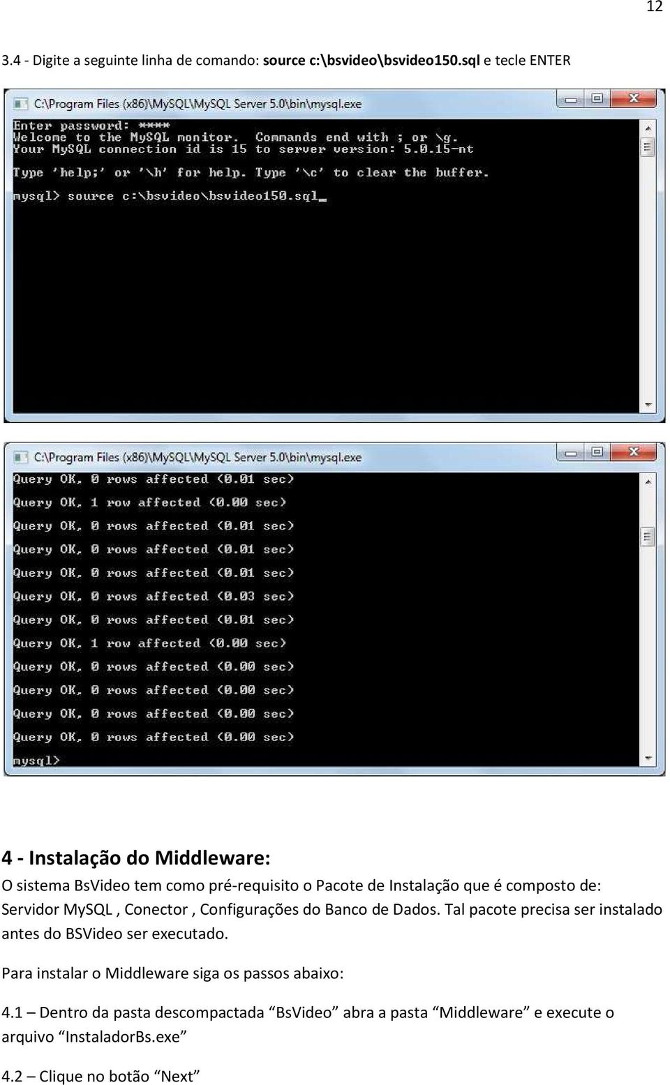 de: Servidor MySQL, Conector, Configurações do Banco de Dados. Tal pacote precisa ser instalado antes do BSVideo ser executado.