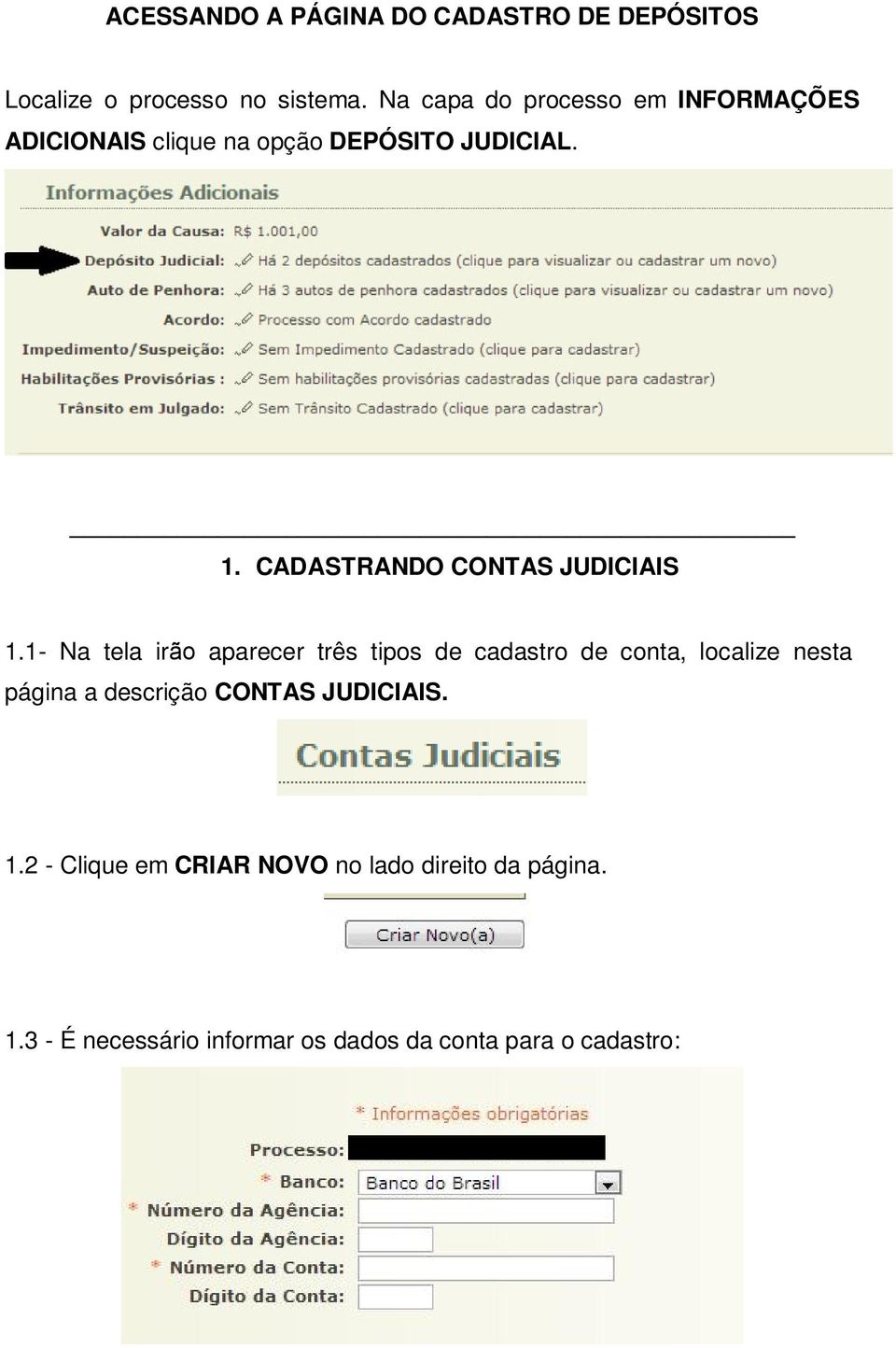 CADASTRANDO CONTAS JUDICIAIS 1.