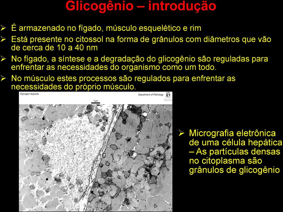 enfrentar as necessidades do organismo como um todo.