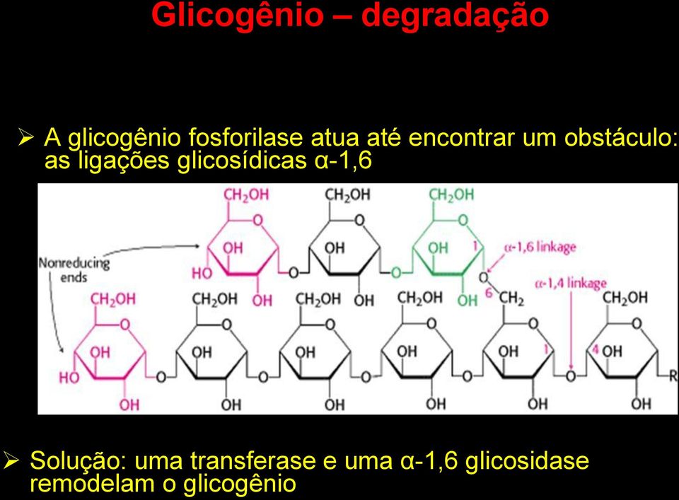 as ligações glicosídicas α-1,6 Solução: uma