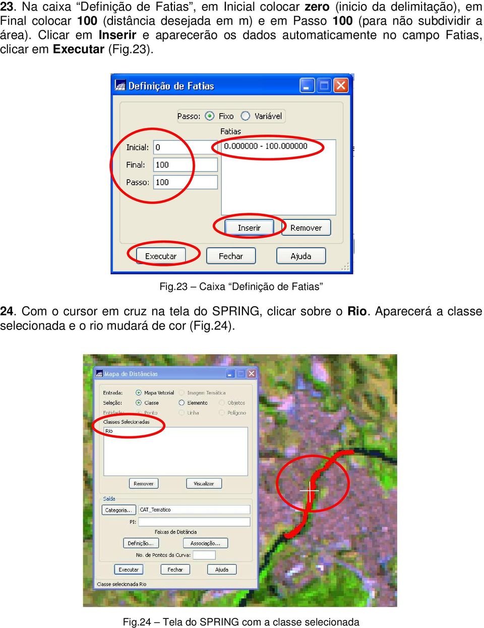 Clicar em Inserir e aparecerão os dados automaticamente no campo Fatias, clicar em Executar (Fig.23). Fig.
