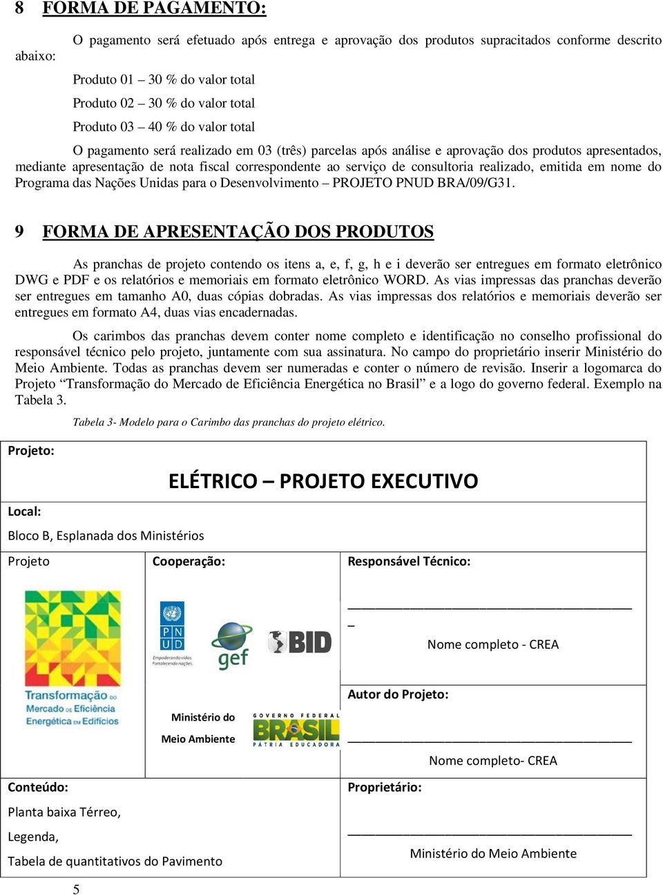 realizado, emitida em nome do Programa das Nações Unidas para o Desenvolvimento PROJETO PNUD BRA/09/G31.