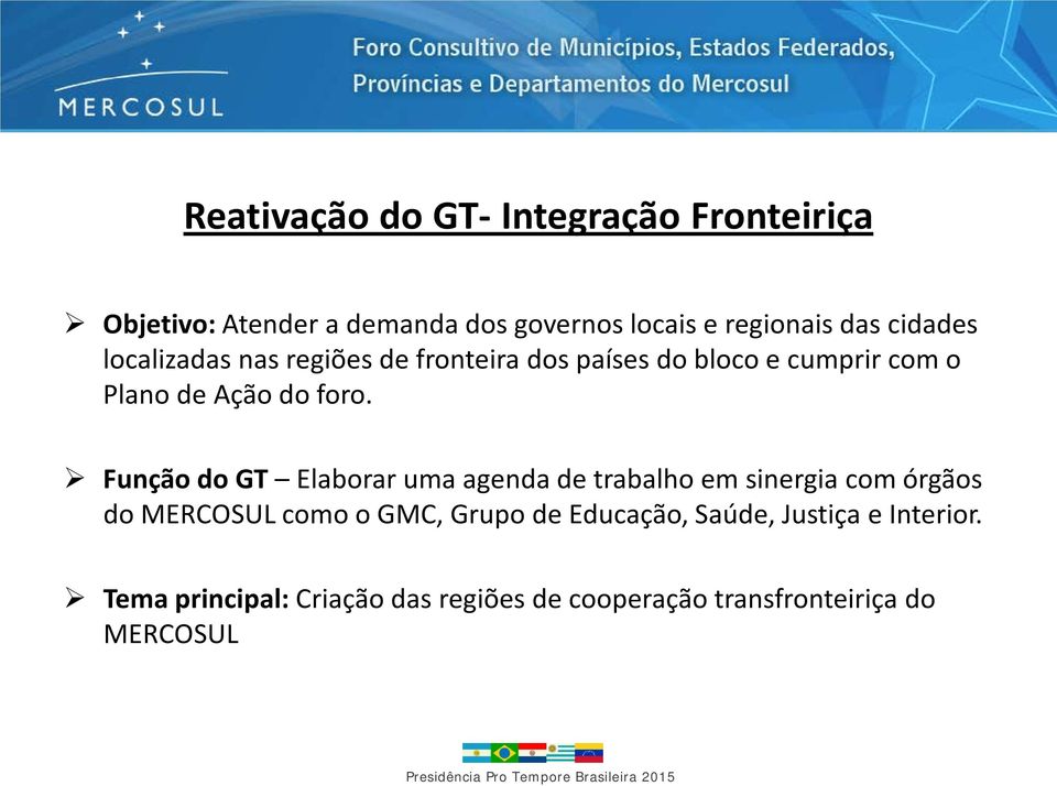 Função do GT Elaborar uma agenda de trabalho em sinergia com órgãos do MERCOSUL como o GMC, Grupo de