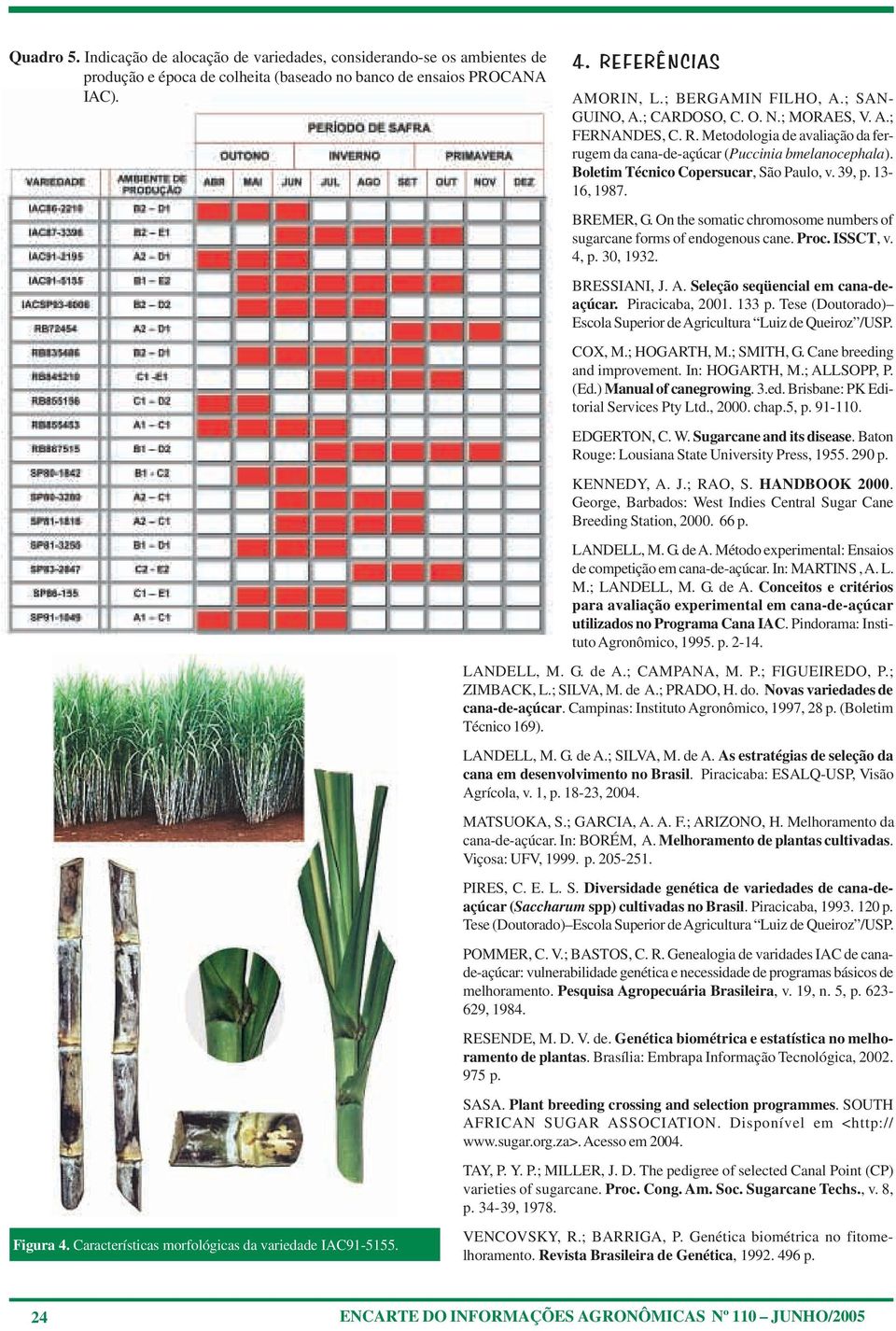 Boletim Técnico Copersucar, São Paulo, v. 39, p. 13-16, 1987. BREMER, G. On the somatic chromosome numbers of sugarcane forms of endogenous cane. Proc. ISSCT, v. 4, p. 30, 1932. BRESSIANI, J. A.