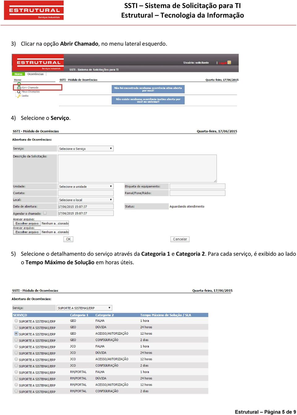 5) Selecione o detalhamento do serviço através da Categoria 1 e