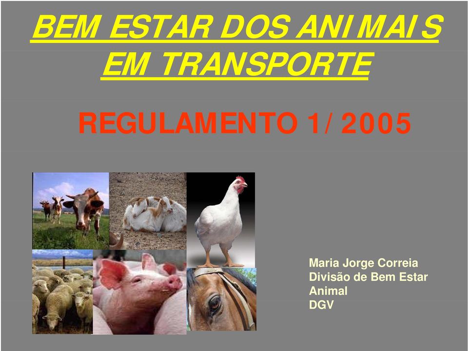 1/2005 Maria Jorge Correia