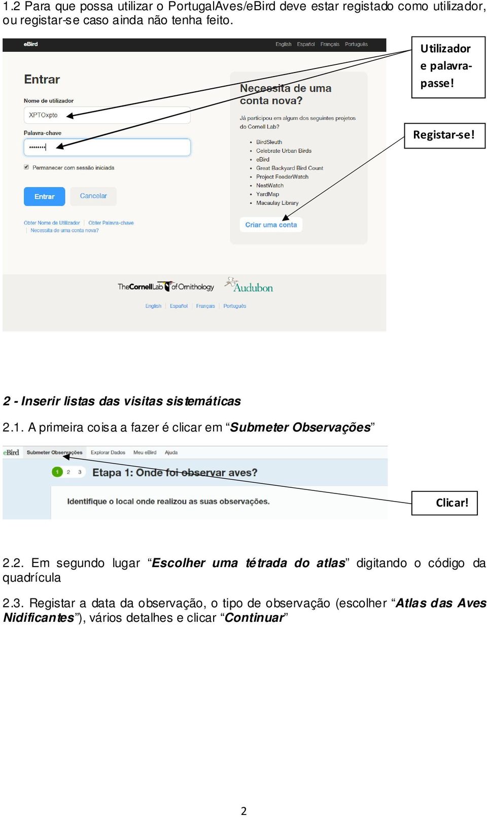 A primeira coisa a fazer é clicar em Submeter Observações 2.