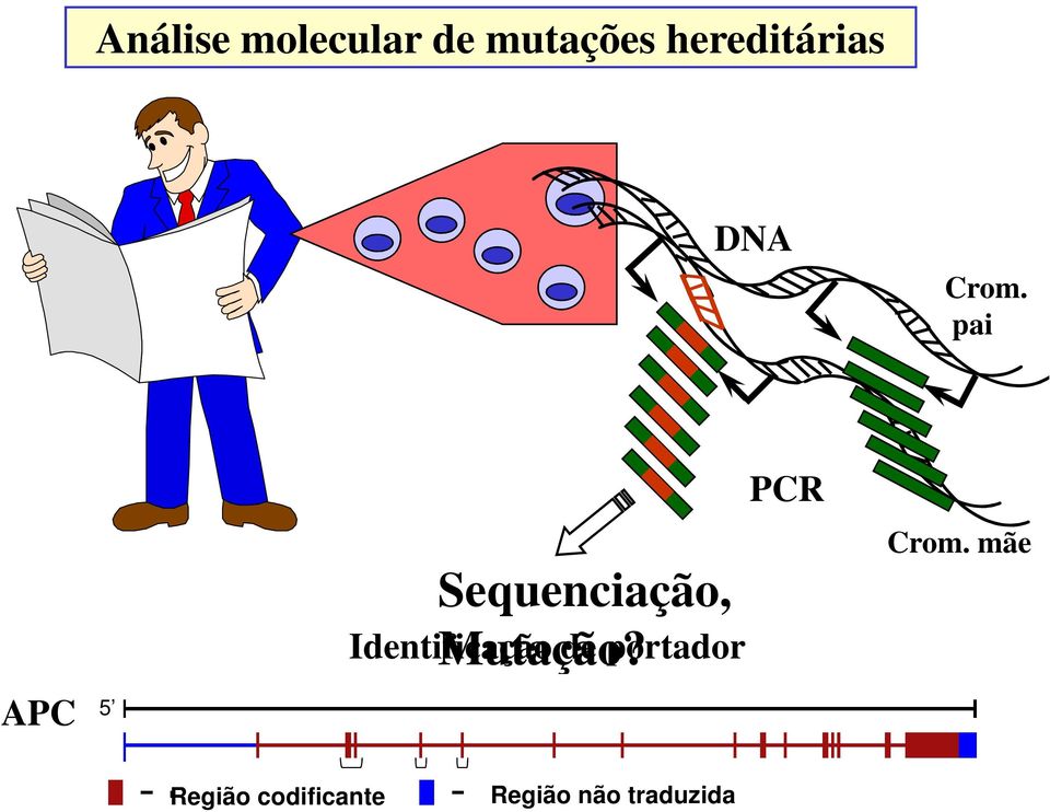 pai APC 5 Sequenciação, Mutação?