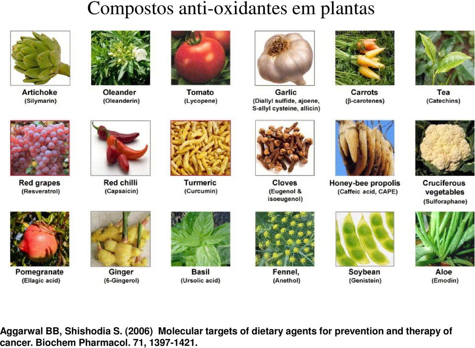 (2006) Molecular targets of dietary agents