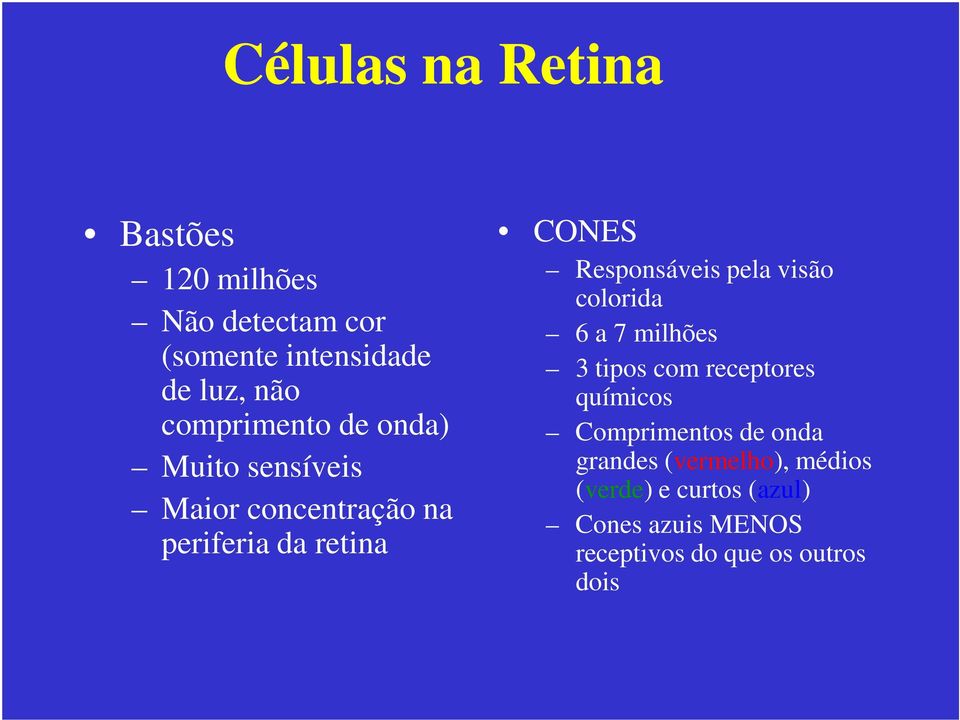 Responsáveis pela visão colorida 6 a 7 milhões 3 tipos com receptores químicos Comprimentos