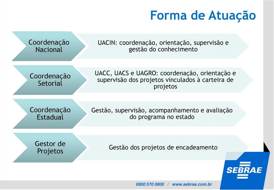 dos projetos vinculados à carteira de projetos Coordenação Estadual Gestão, supervisão,