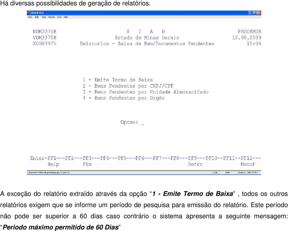 relatórios exigem que se informe um período de pesquisa para emissão do relatório.