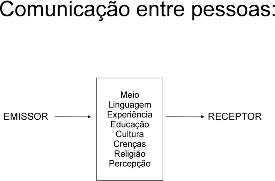 Experiência Educação Cultura