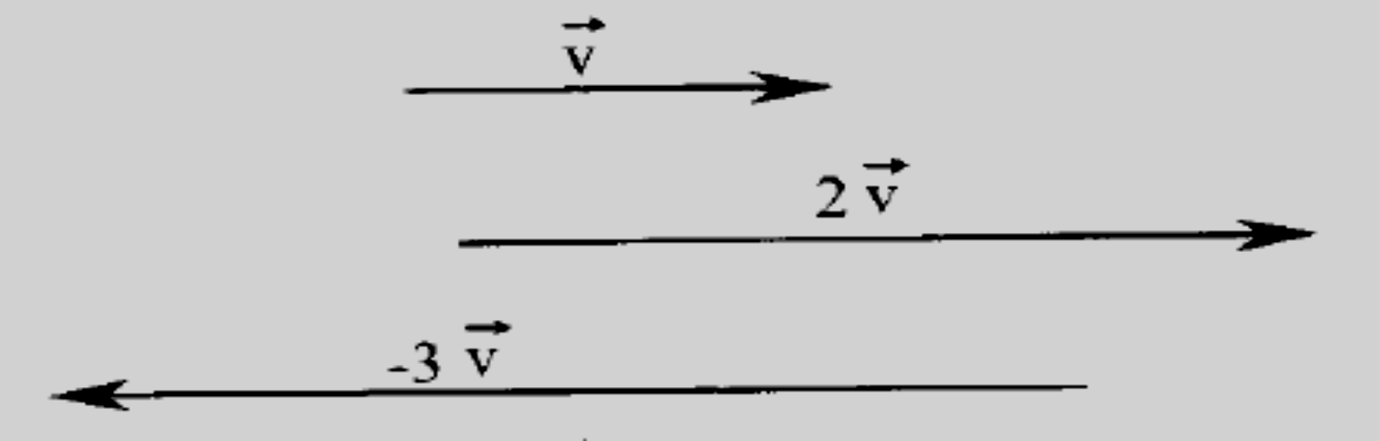 Propriedades 1) módulo: αv = α v o comprimento de αv é igual ao comprimento de v multiplicado por α.