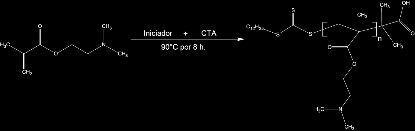 32 O homopolímero de PDMAEMA foi sintetizado em batelada, ou seja, sem a adição de solvente no meio reacional e a solubilização do iniciador e do CTA foi feita com o próprio monômero.