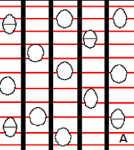 82 Marginal Em faixas Escalariforme Figura 87: Tipos de parênquima axial em faixas em seção transversal (Fonte: Esquemas: Botosso, 2011; imagens: LANAQM, 2015). 12.