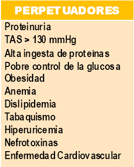 Fatores de Risco Limitar a progressão do dano renal e o desenvolvimento