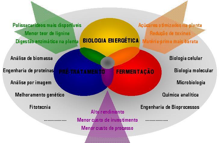 Produção de etanol a partir