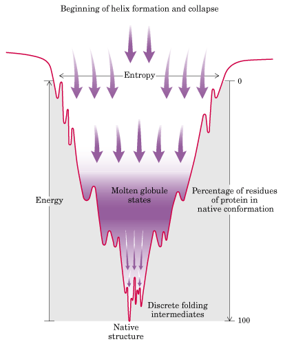 Visão termodinâmica do