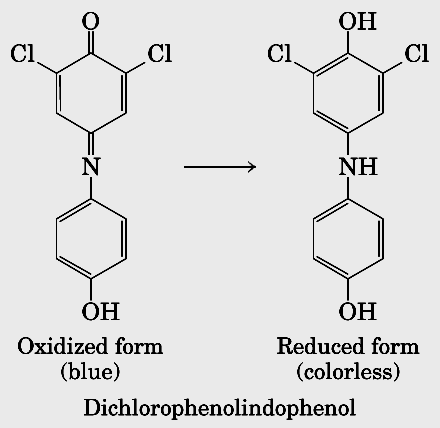 Reação de Hill Cloroplastos + 2H 2 O + 2A luz 2AH 2 + O 2 + Cloroplastos A (forma oxidada) azul / AH 2 (forma reduzida) incolor No escuro não