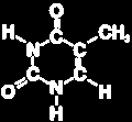 Nucleotídeo P: fosfato; S: açúcar;