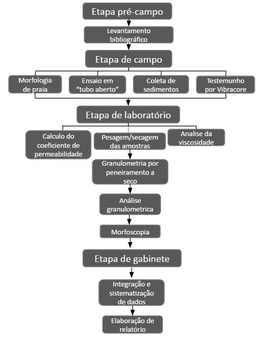 Figura 2 Fluxograma das etapas metodológicas.