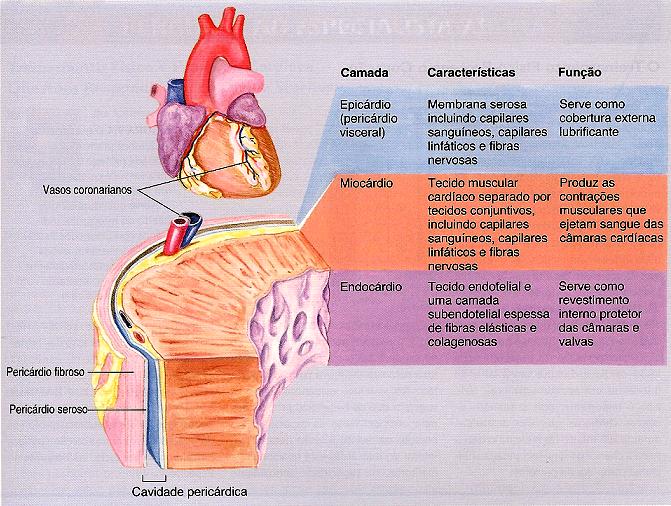 Sistema