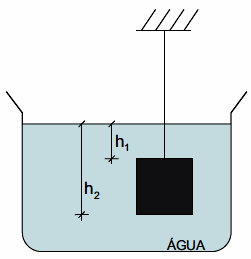 TREINANDO PARA O ENEM 01. Um cubo de ferro está mergulhado na água, suspenso por um fio, conforme a figura. No referencial fixo no recipiente, a água e o bloco estão em repouso.