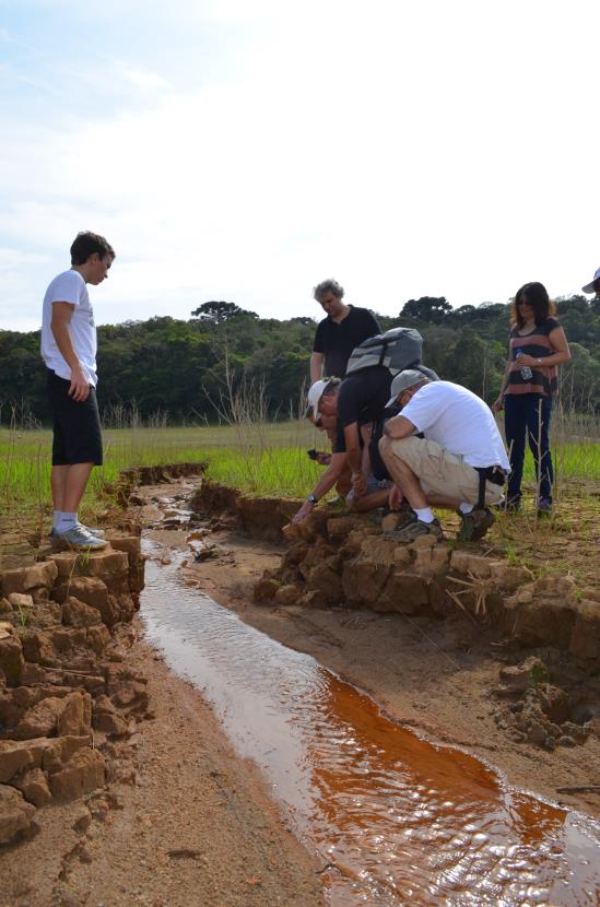 Parâmetros Físicos: cor Importância: - Aparência - Presença de matéria orgânica formação de THMs Dependendo dos valores a forma de tratamento de água para potabilização é