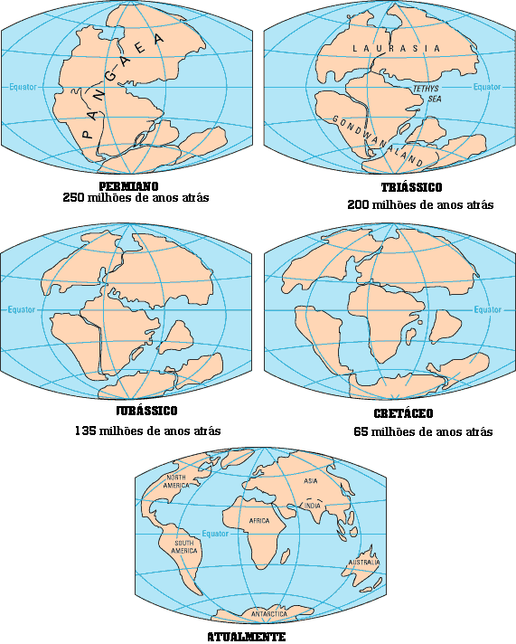 Era cenozóica (65,5 milhões de anos atrás até o presente) Formação das cadeias montanhosas. ~ 65 milhões de anos atrás: extinção dos dinossauros.