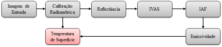 representação do modelo utilizado para determinação da temperatura de superfície por meio da transformação dos níveis de cinza segundo Bastiaanssen (2000): Figura 2.